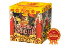 Красивая жизнь Фейерверк купить в Сретенске | sretensk.salutsklad.ru