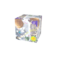 Новогодняя ночь Салют купить в Сретенске | sretensk.salutsklad.ru