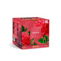 Пионы Салют купить в Сретенске | sretensk.salutsklad.ru