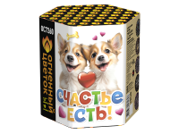 Счастье есть! Салют купить в Сретенске | sretensk.salutsklad.ru