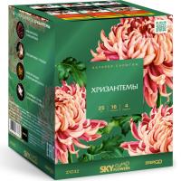 Хризантемы Фейерверк купить в Сретенске | sretensk.salutsklad.ru