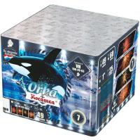 Косатка Фейерверк купить в Сретенске | sretensk.salutsklad.ru