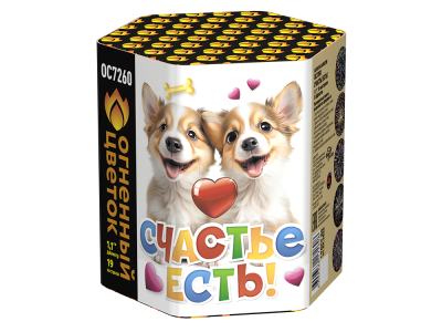 Счастье есть! Салют купить в Сретенске | sretensk.salutsklad.ru